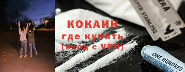 ГАЛЛЮЦИНОГЕННЫЕ ГРИБЫ Богданович