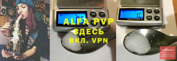 ГАЛЛЮЦИНОГЕННЫЕ ГРИБЫ Богданович