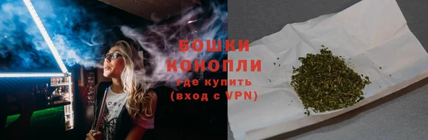 ГАЛЛЮЦИНОГЕННЫЕ ГРИБЫ Богданович