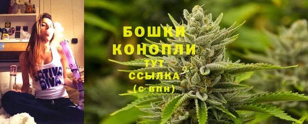 ГАЛЛЮЦИНОГЕННЫЕ ГРИБЫ Богданович