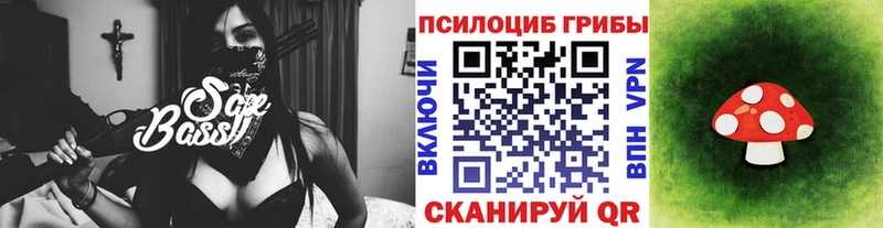 купить сайты Грозный Галлюциногенные грибы Cubensis